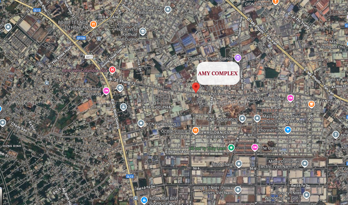 Vị Trí Amy Complex